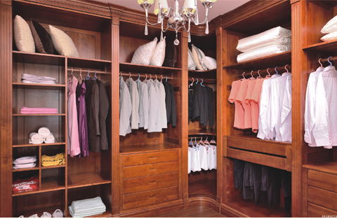 原木衣柜與實(shí)木衣柜不一樣 豐成帝納教你區(qū)別實(shí)木衣柜